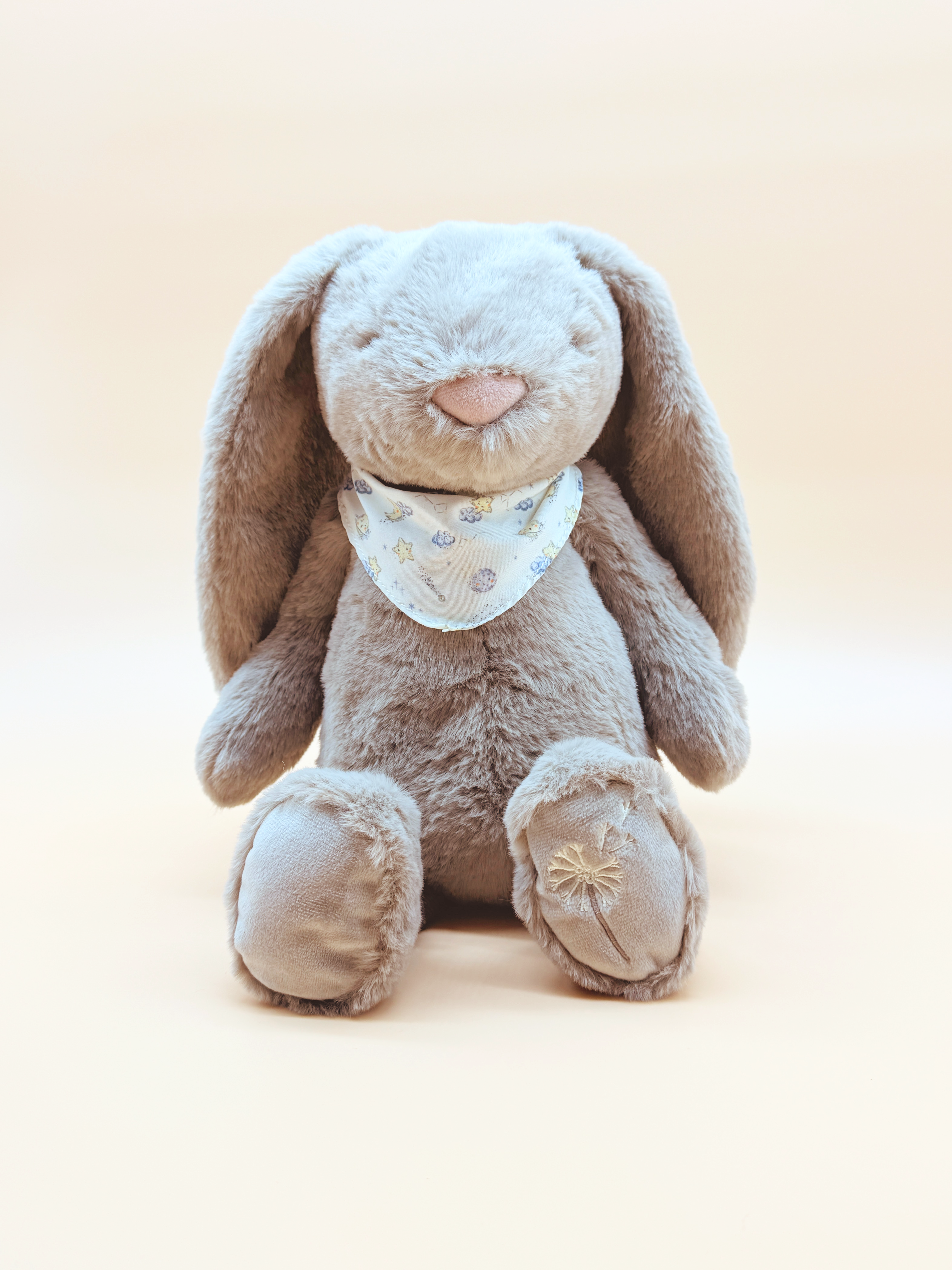 Pemberley Bashful Bunny - Theodore - Large