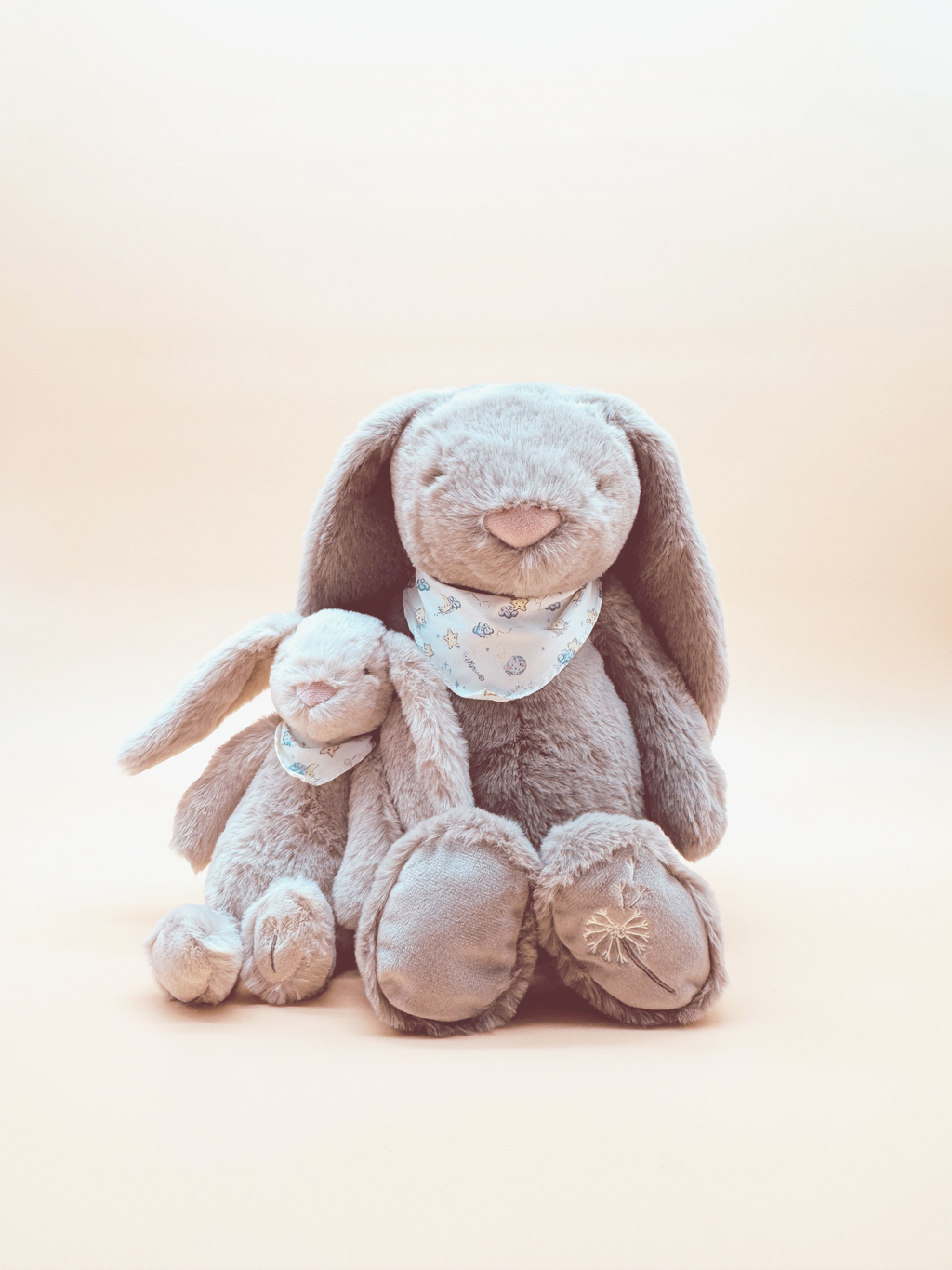 Pemberley Bashful Bunny - Theodore - Large