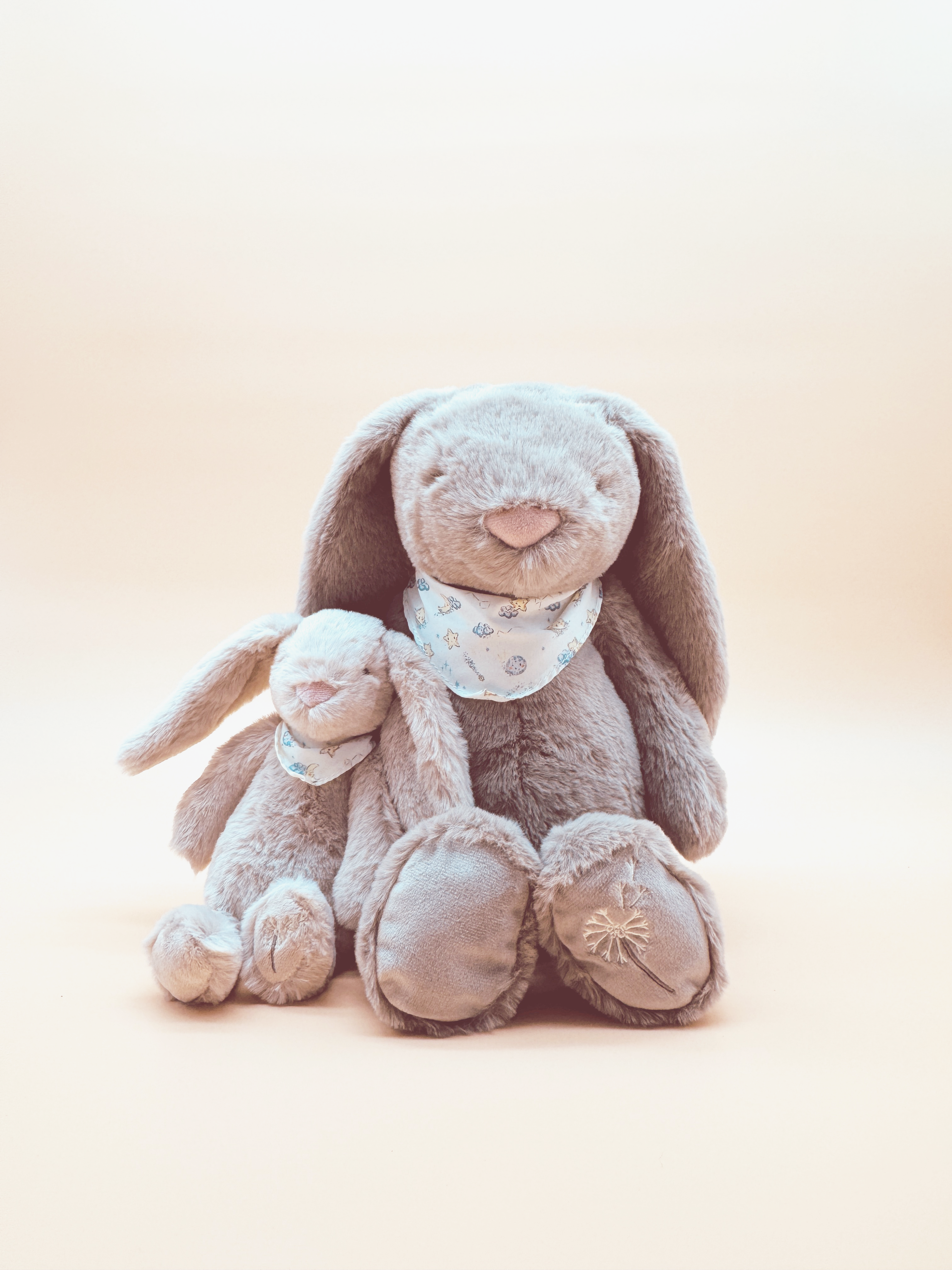 Pemberley Bashful Bunny - Theodore - Large