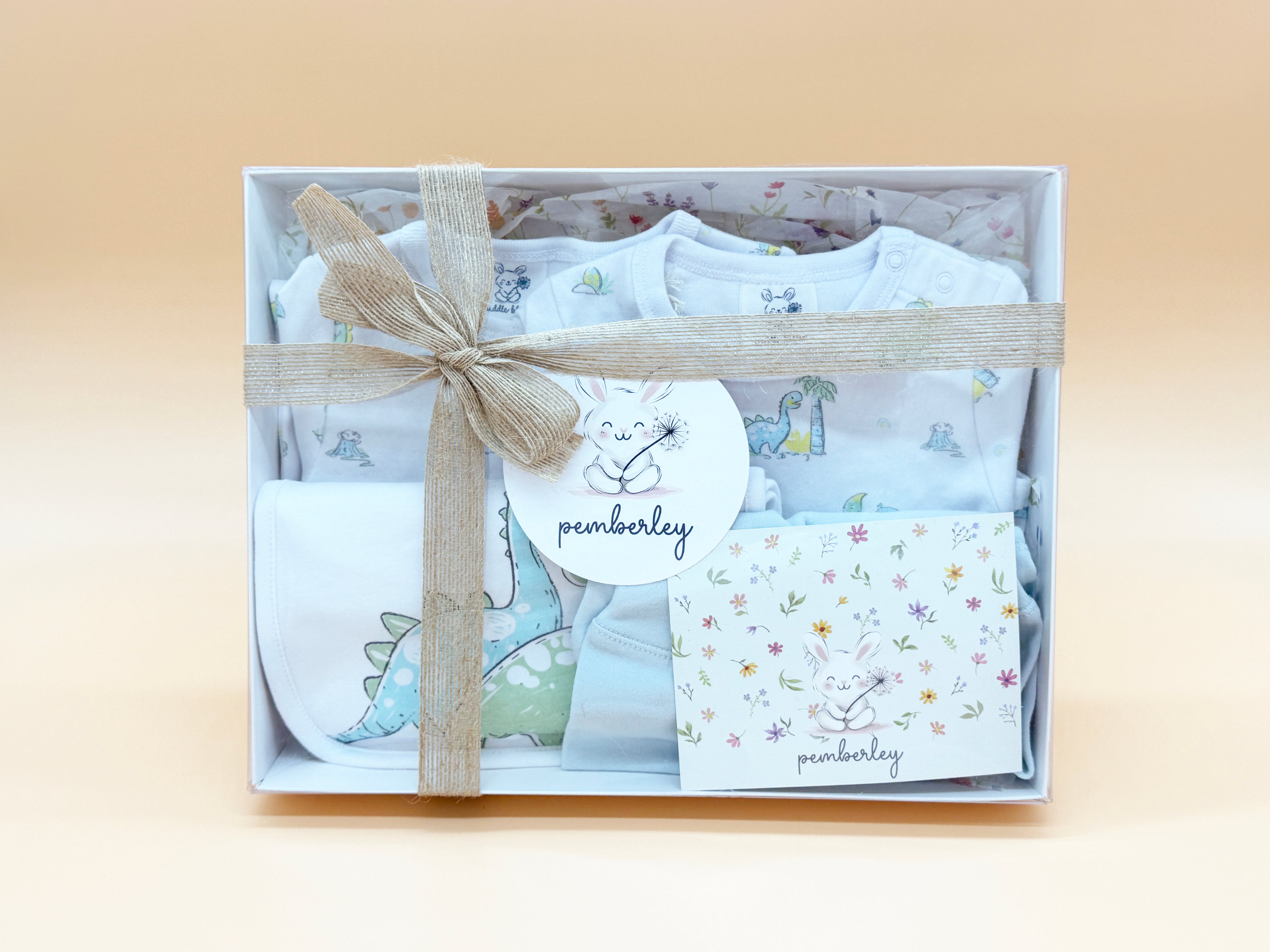 Gift Pack - Darcy Dinosaur